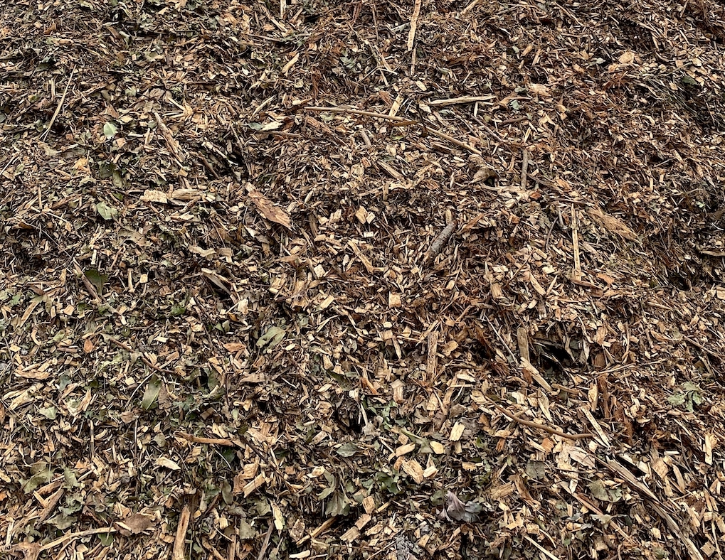 Forest Mulch - $28/m3