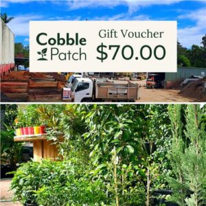 $70 Gift Voucher