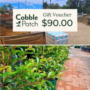 $90 Gift Voucher