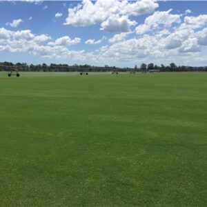 Turf Winter Green Couch / m2