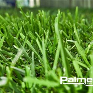 Turf Palmetto Soft Leaf Buffalo /  m2