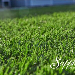 Turf Sapphire Buffalo /  m2