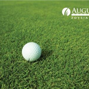 Turf Augusta Zoysia / m2