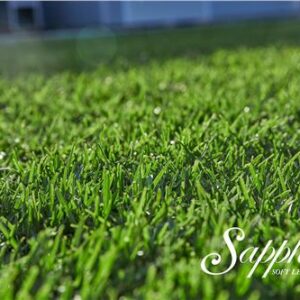 Turf Sapphire Buffalo / m2