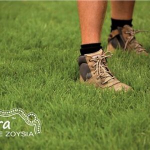 Turf Nara Native Zoysia / m2