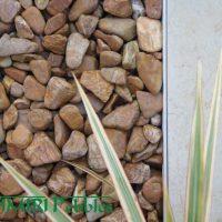 Kashmiri Wood Grain Polished Pebbles